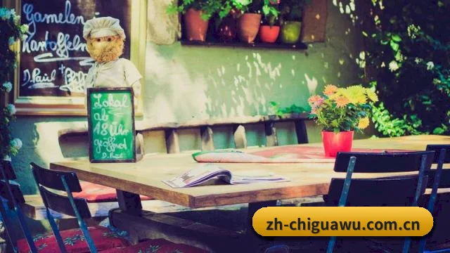 吃瓜网站 APP